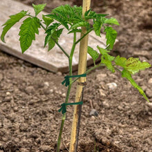 Load image into Gallery viewer, TBD06061194_B3.jpg@51cefe3ec2099d2fed634de8490bc5dc