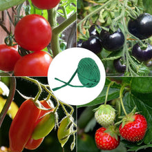 Load image into Gallery viewer, TBD06061194_B5.jpg@b27d935bd556d79f0d6ac145ece0b03b