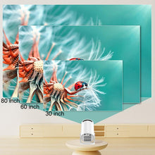 Load image into Gallery viewer, TBD06061433_B6.jpg@ad5946d229dcec96100d0bca0090b415