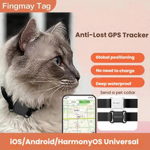 Load image into Gallery viewer, TBD06061617_B1.jpg@275e30966bfd05bb7aa10c5478d528d3