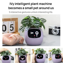 Load image into Gallery viewer, TBD06061633_B2.jpg@92611dd2e8fef9237312f9eab4c673b9