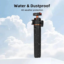 Load image into Gallery viewer, TBD06061711_B6.jpg@30f19c1b4303c07d16092e7a83f5b3d0