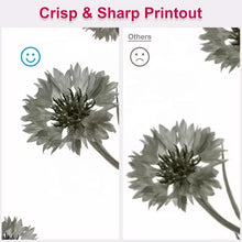 Load image into Gallery viewer, TBD06062211_B3.jpg@d8357e0bd17035401055507d39abe4c9