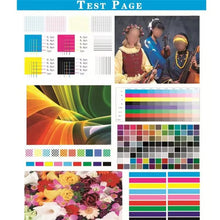 Load image into Gallery viewer, TBD06062211_B4.jpg@7905a1cb5bc42aba357edc201a2bf4d6