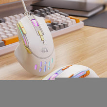 Load image into Gallery viewer, TBD06065448_B1.jpg@3d982a2b60032bf66ba4d4cca621d4c7