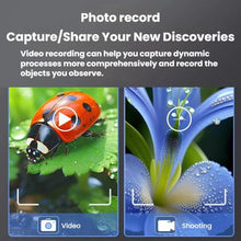 Load image into Gallery viewer, TBD06066247_B2.jpg@0c524a9149bc0529ebde963400296d68