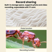 Load image into Gallery viewer, TBD06066258_B6.jpg@7952421401b935f7a2ecd47d296f905d