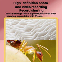 Load image into Gallery viewer, TBD06066269_B3.jpg@849848fcb414fd9039ae6e4b84e7cc65