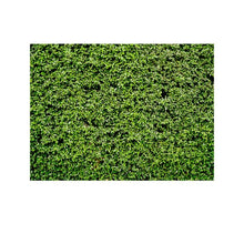 Load image into Gallery viewer, TBD0626512_1.jpg@5dd136fcd92118dc2dcfd0fd56e0e854