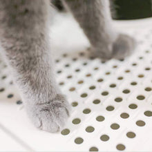 Load image into Gallery viewer, TBD062739501B_9.jpg@244caff08002e49ad8bffee23d543465