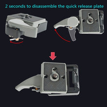 Load image into Gallery viewer, TBD086399301B_8.jpg@2e6efbca0cdf69da85d4511c572a11cc