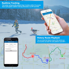 Load image into Gallery viewer, TGPS6502_9.jpg@caf7ed0ed4a56c3077c08e72ac33839a