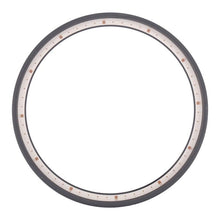 Load image into Gallery viewer, WSP0196W_1.jpg@06f562fb55e3b384191566fa1f9e34da