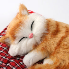Load image into Gallery viewer, CMS4172D_3.jpg@90cc721a3584fe5065c963732bc8f93c