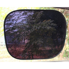 Load image into Gallery viewer, CMS6399_4.jpg@12fc5494499c01d47729d626aff4d387