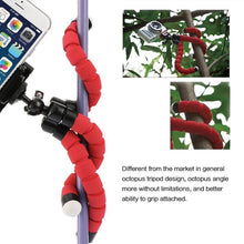 Load image into Gallery viewer, DCA1141_B3.jpg@713667b85607ff4c58725e612a157df6
