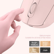 Load image into Gallery viewer, KB0528_B7.jpg@132596b7634891a62244a88272d4d54a