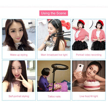 Load image into Gallery viewer, MCP0054_12.jpg@2269f1627996ea617b68cb9f44e8f794