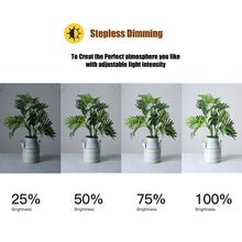 Load image into Gallery viewer, MCP3690_12.jpg@d786ba12fad8db89969f189579cad0ed