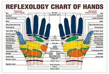 Load image into Gallery viewer, TBD0515298_2.jpg@c3522cd001f5bc209e921de3921e841f