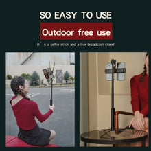 Load image into Gallery viewer, TBD0601882101_B6.jpg@eb79f1f879a26780a12d519ef5283f8e