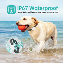 Load image into Gallery viewer, TBD06037827_B4.jpg@4315ecfb51b81d3e9adc4e37ccfb1ecf