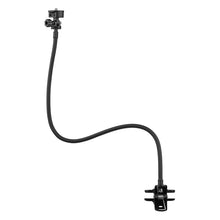 Load image into Gallery viewer, TBD06038006_1.jpg@7c1f7a7236f4cd0faec772f66e52ccb3