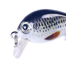 Load image into Gallery viewer, TBD06038447_B3.jpg@6679dd01da5ce27956048478006575ee