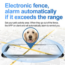 Load image into Gallery viewer, TBD06040281_B7.jpg@0ae9d96273900a7778e10db5fb822cc1