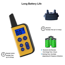 Load image into Gallery viewer, TBD06040939_B3.jpg@340daa0a8eff5cc4ed25feedaeae55fe