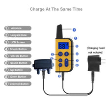 Load image into Gallery viewer, TBD06040939_B5.jpg@eeea33008797a7e04bd2a0f3fe440d96