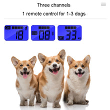 Load image into Gallery viewer, TBD06041126_B3.jpg@eb995d491d72ae5a9b25eddd0829ef1e