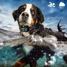 Load image into Gallery viewer, TBD06041126_B8.jpg@6d70cc9c8f1536873242a0fc61d32e0b