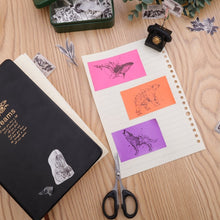 Load image into Gallery viewer, TBD06041166_5.jpg@a1fb1efcaf287af77b7d53df0599228d