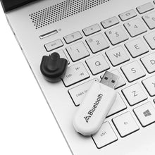 Load image into Gallery viewer, TBD06041283_3.jpg@2c220b8e414a1cf2de975354ed09d5ba