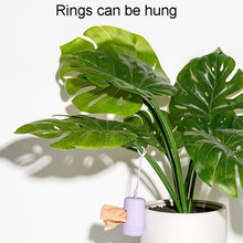 Load image into Gallery viewer, TBD06041476_B2.jpg@e0d69d8c6f52da7a516f7bf990ef6aa7