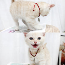 Load image into Gallery viewer, TBD06041849_B4.jpg@5c70f8681797fa7cde96d080a6a52096