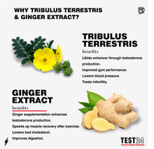 Load image into Gallery viewer, FORTIS NUTRITION Test 24 - 90's Maverick Sales 1