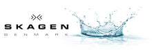 Load image into Gallery viewer, Authentic SKAGEN Denmark Ancher Blue Dial Mesh Band Mens Watch Maverick Sales 1