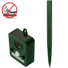 Load image into Gallery viewer, CA7858_4.jpg@5917224bf0e016d9825d07efbbf30385
