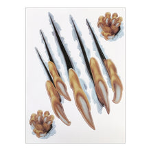 Load image into Gallery viewer, CAR2975_1.jpg@a4901c9b141122c5a39eef6b19be4704
