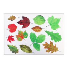 Load image into Gallery viewer, CAR2976_1.jpg@44b974437f6194fa1ee39306b91d512f

