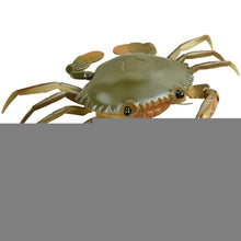 Load image into Gallery viewer, CHT0609G.jpg@935e416cb1776e558914991c35c4b6cf
