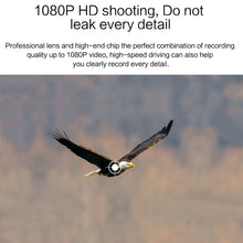 Load image into Gallery viewer, CMS1356_12.jpg@a91cb8f522164ff0be058e561c74b910
