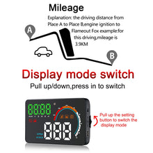 Load image into Gallery viewer, CMS1925_12.jpg@3138fa17124b568dbd7ac1c3726f91f8
