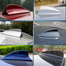 Load image into Gallery viewer, CMS2552B_5.jpg@673dca49dc44968cfccf1ce12284d5e5
