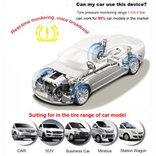 Load image into Gallery viewer, CMS2566_7.jpg@a9a8f8131824348b9d796ca319338962
