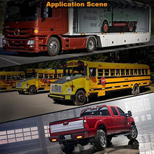 Load image into Gallery viewer, CMS3397_B2.jpg@7ac0fd95fdf1dbf4661e5e2973ad9de3
