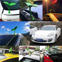 Load image into Gallery viewer, CMS8614_8.jpg@ecfab136cf17e222c8945a00bd2745df
