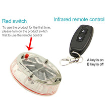 Load image into Gallery viewer, CRP1646_2.jpg@afb591a867255a23ec36cb7f726e7663
